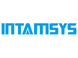 intamsys